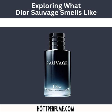 perfumes parecidos a dior sauvage|what does Dior Sauvage smell like.